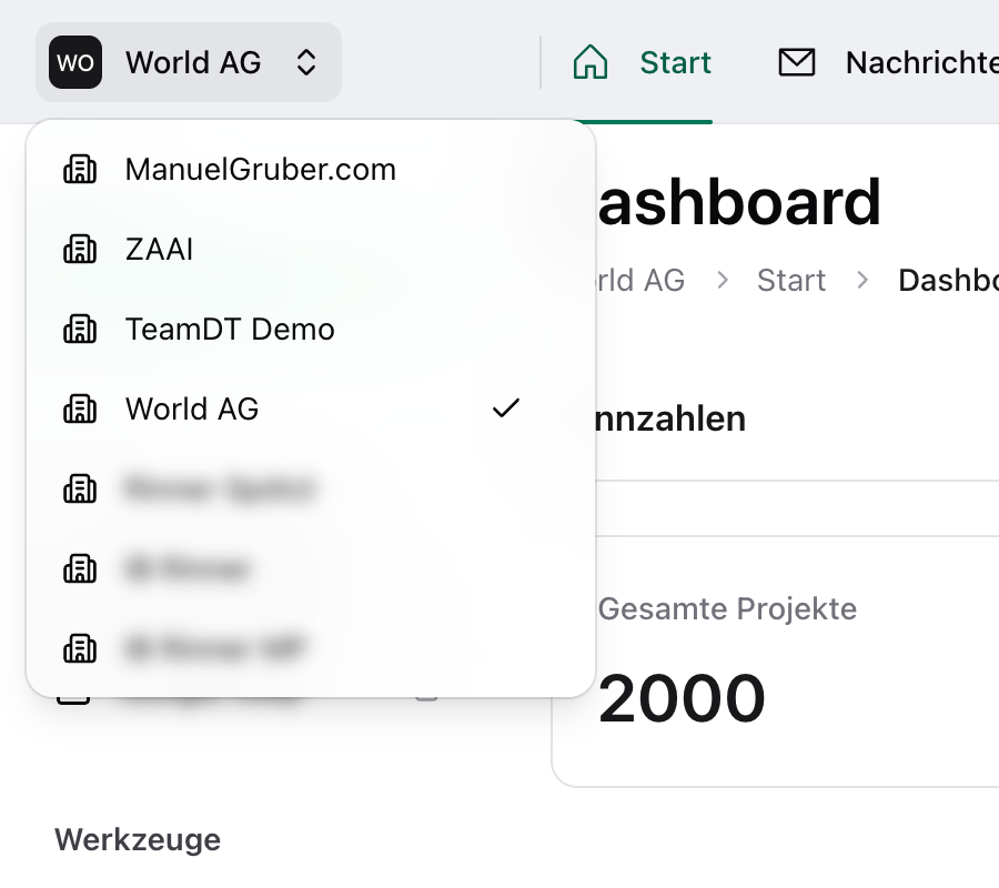 Multi-organization with multiple companies